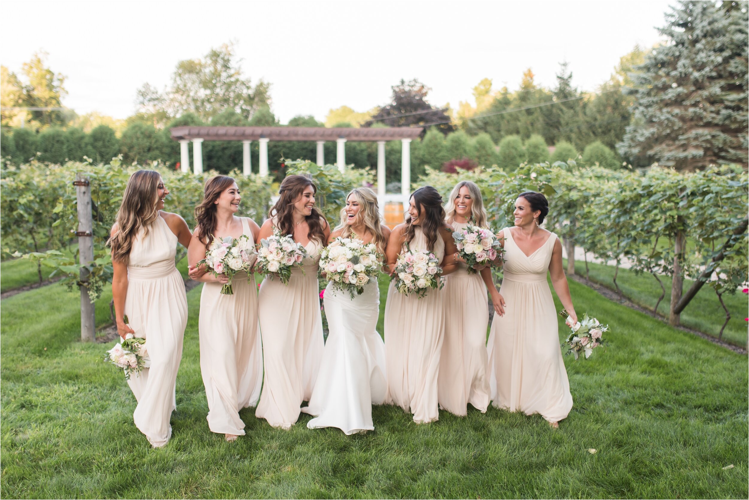 birch-wood-vineyards-wedding_0078.jpg
