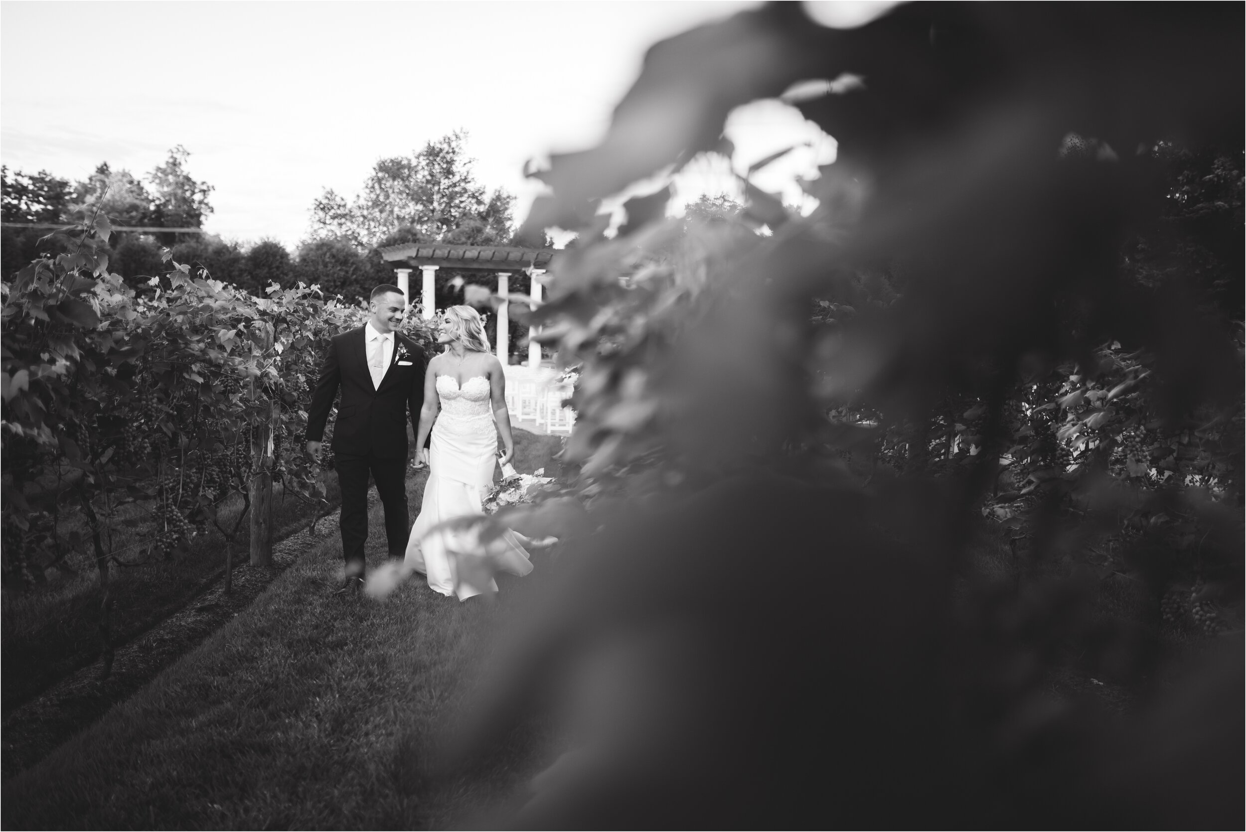 birch-wood-vineyards-wedding_0105.jpg