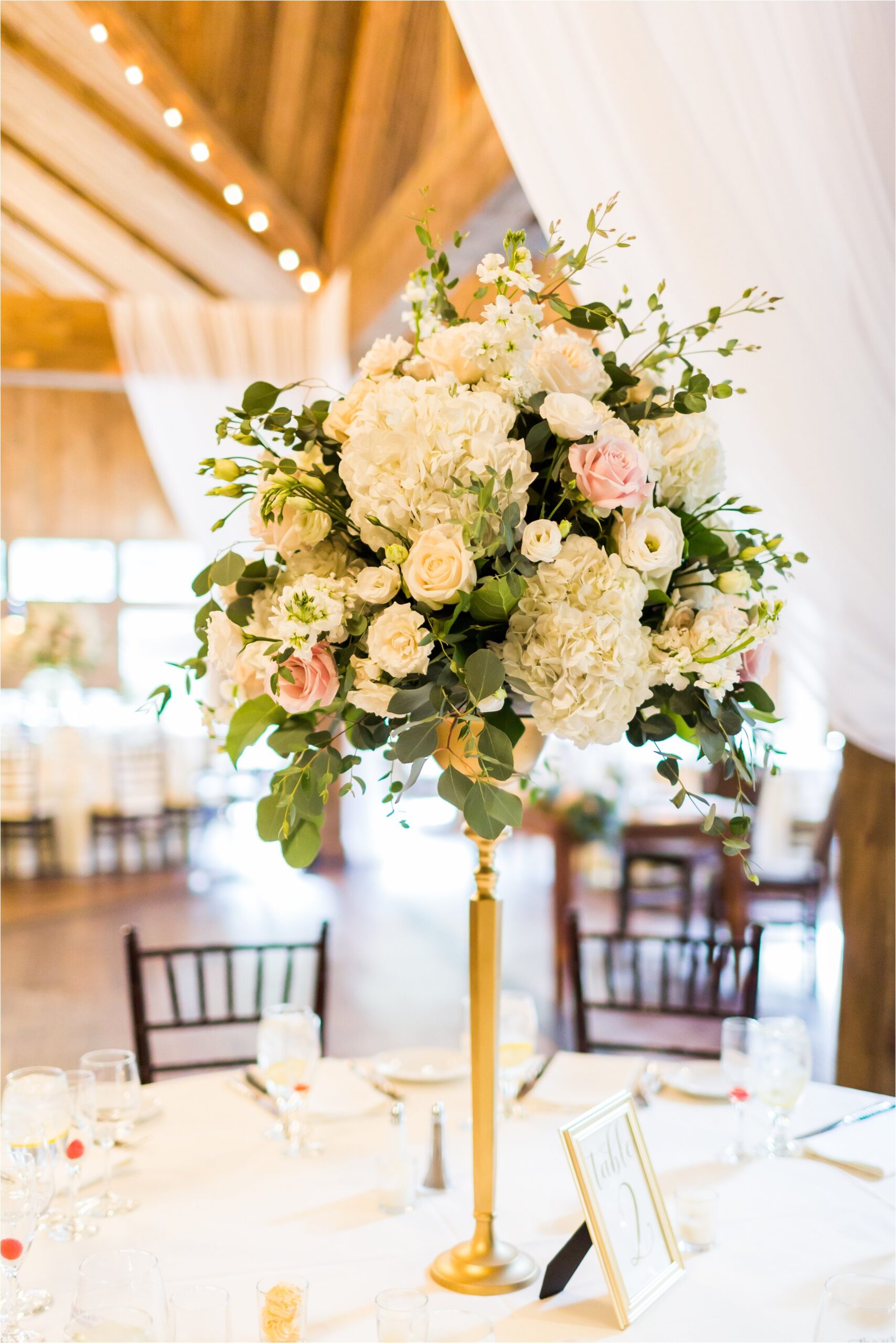 birch-wood-vineyards-wedding_0167.jpg