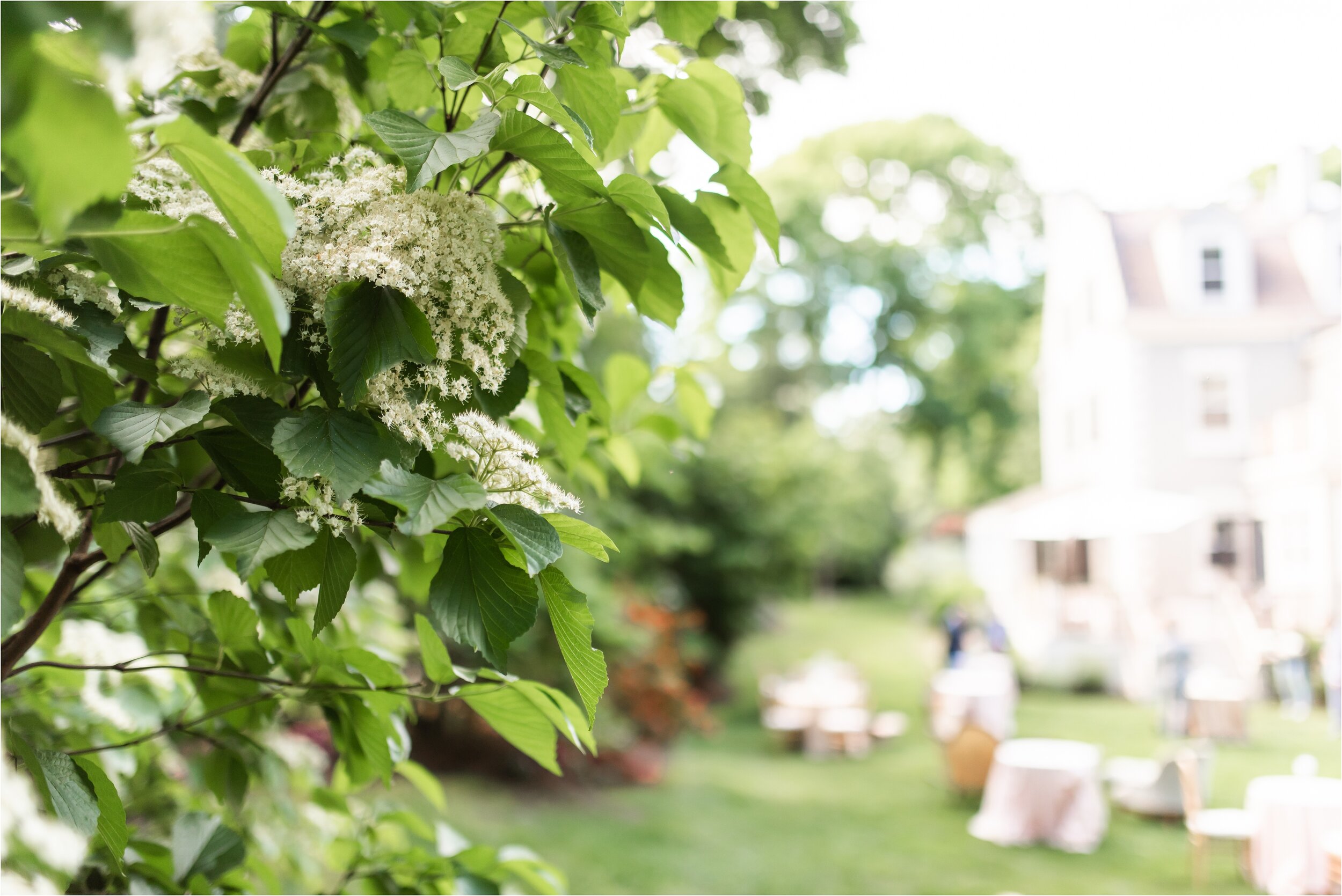 boston-backyard-wedding_0003.jpg