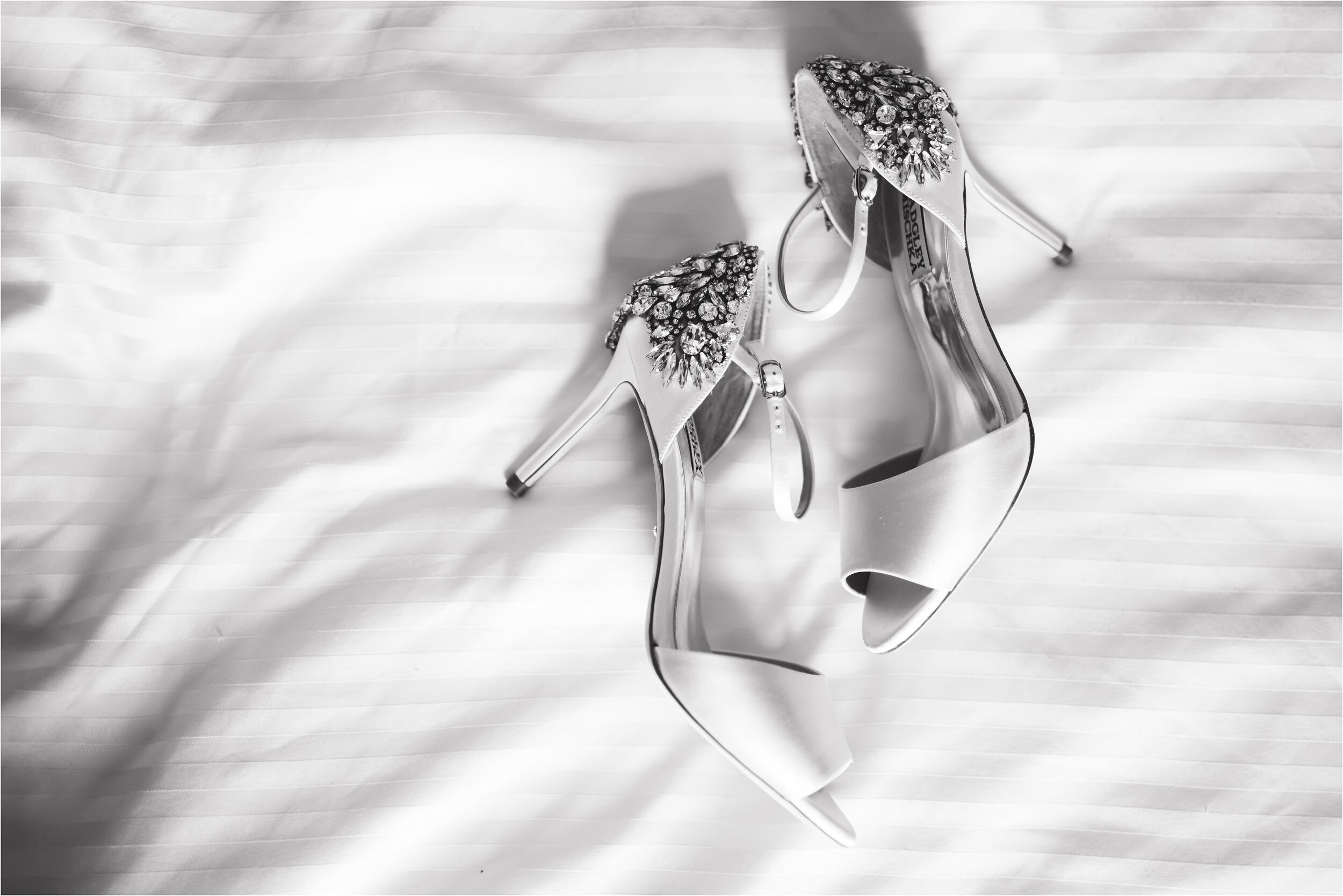 danversport-wedding_0001.jpg