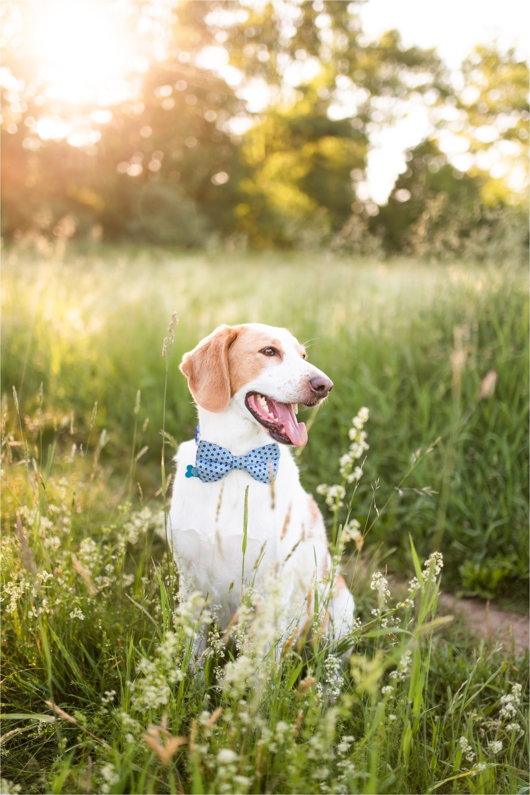 coopers-corner-engagement-photos_0018.jpg
