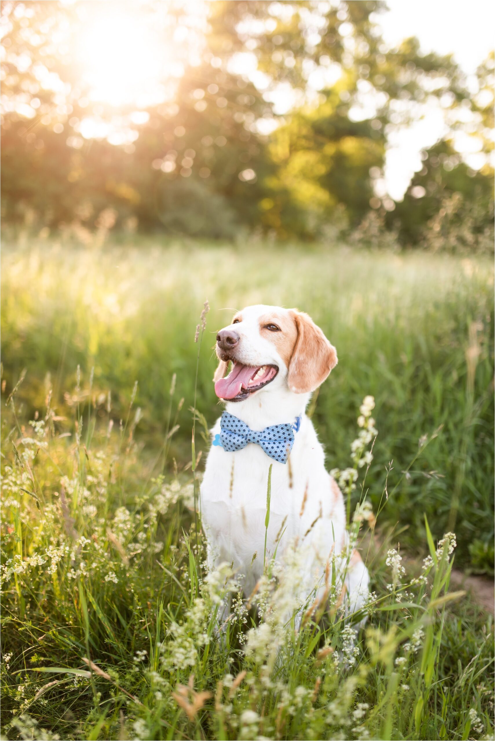 coopers-corner-engagement-photos_0019.jpg