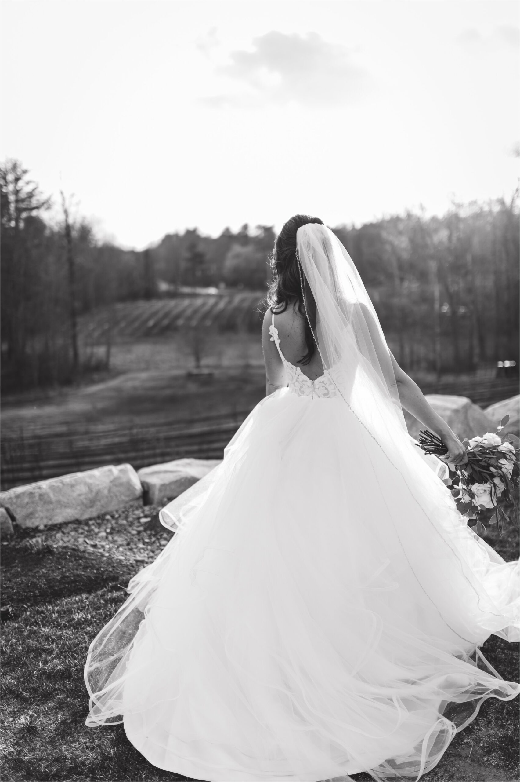 labelle-winery-wedding_0117.jpg