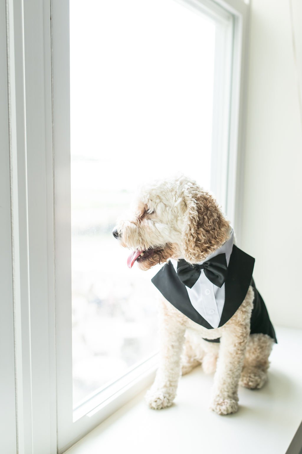 Before-Ceremony-108.jpg