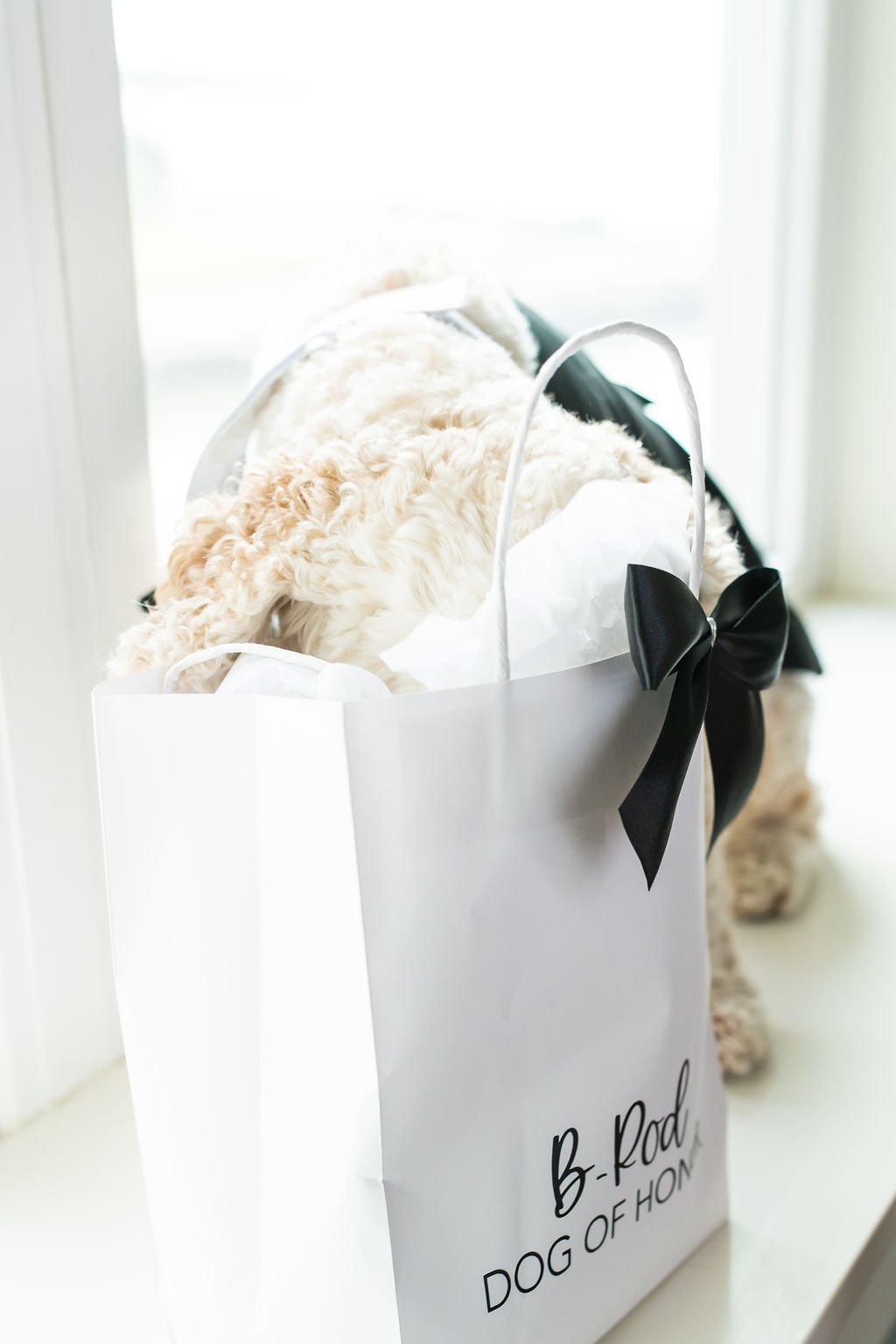 Before-Ceremony-112.jpg
