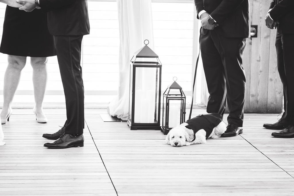 Ceremony-114.jpg