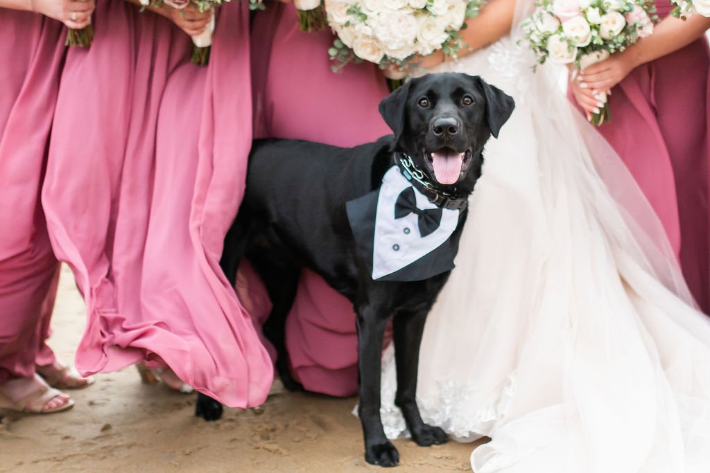 Formals-124.jpg